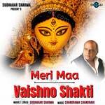 Meri Maa Vaishno Shakti - Anil Sharma Song Download